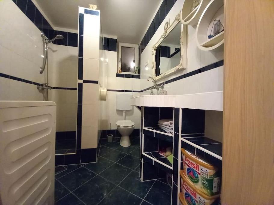 Near By Capital Of Slovenia Apartamento