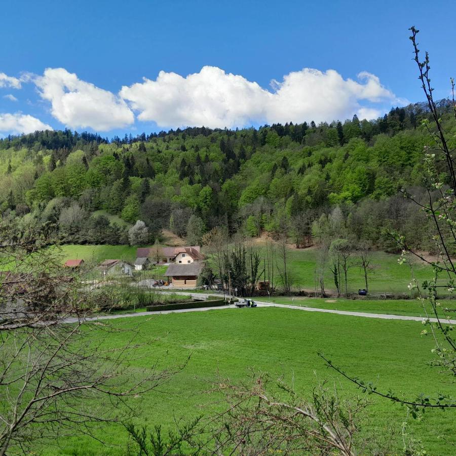 Apartamento Near By Capital Of Slovenia *