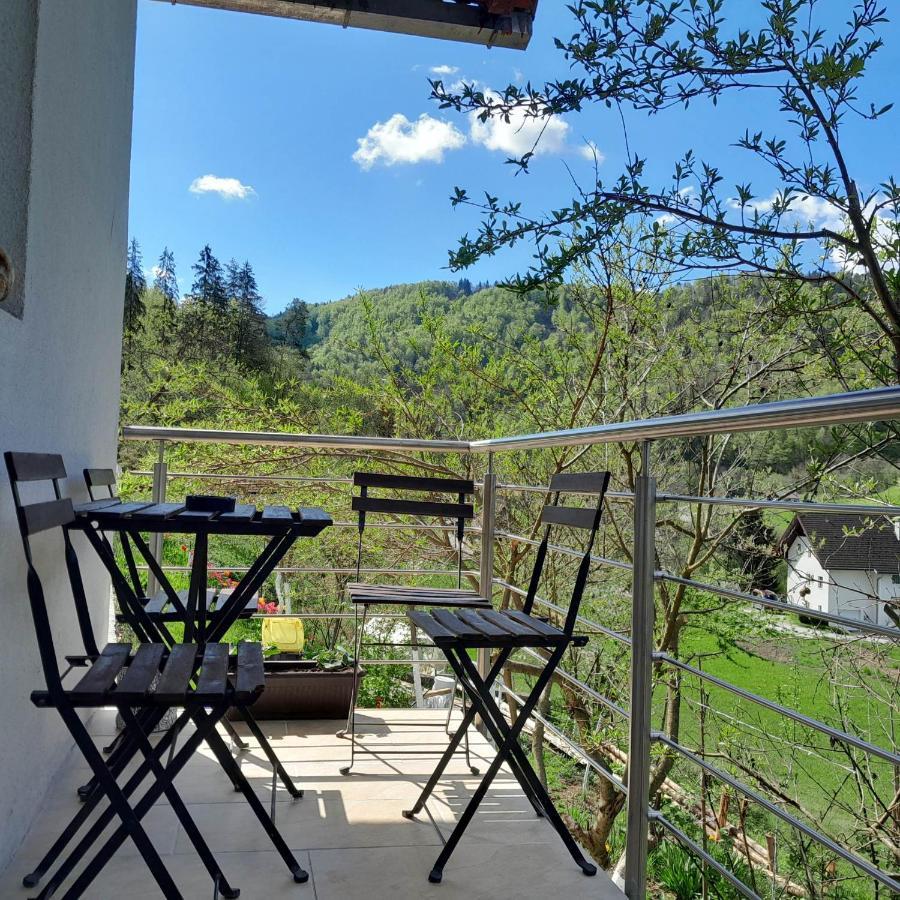 Near By Capital Of Slovenia Apartamento